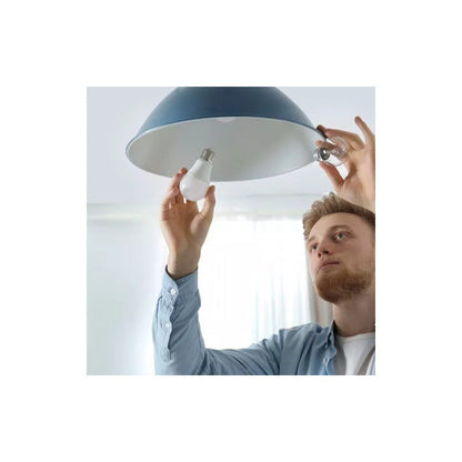 Ampolleta Led Ideal Femidom E27 Globo Color Blanco Frío 15w Blanco Frío